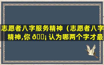 志愿者八字服务精神（志愿者八字精神,你 🐡 认为哪两个字才最重 🦈 要原因是什么）